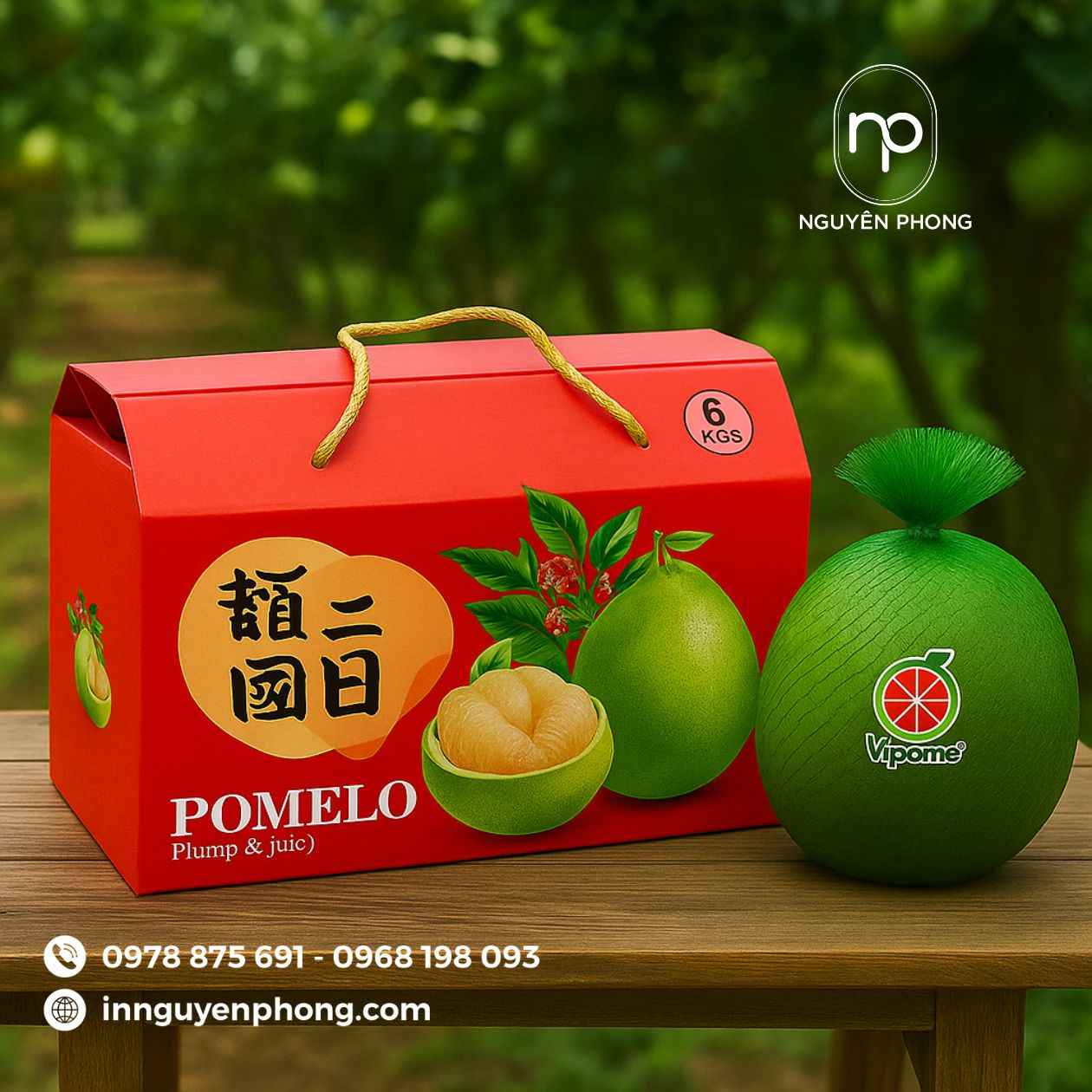 Mẫu in thùng carton đựng bưởi da xanh